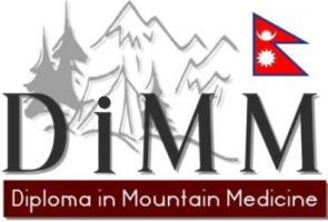 MMSN Academy Courses
